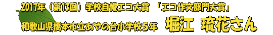 2017NwZGR GR앶܁@a̎R{s̑䏬wZTN@x]@Ԃ