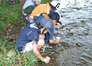稚魚を放流