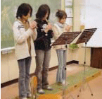 E哹ŃVJRT[gJ