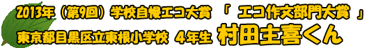 2013NwZGR GR앶 sڍ旧wZ 4N c삭